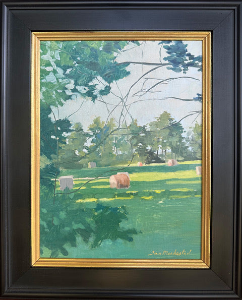 Hayfield, Bailey's Harbor