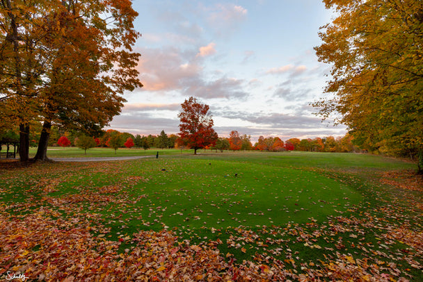 Tee Box #7 Peninsula State Park Golf Course