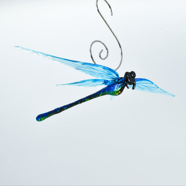 Dichroic Dragonfly