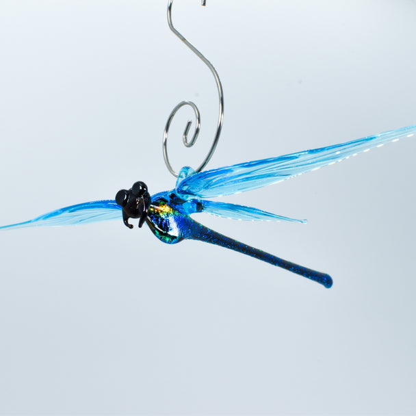 Dichroic Dragonfly