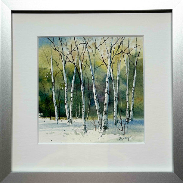 Winter Birches #4