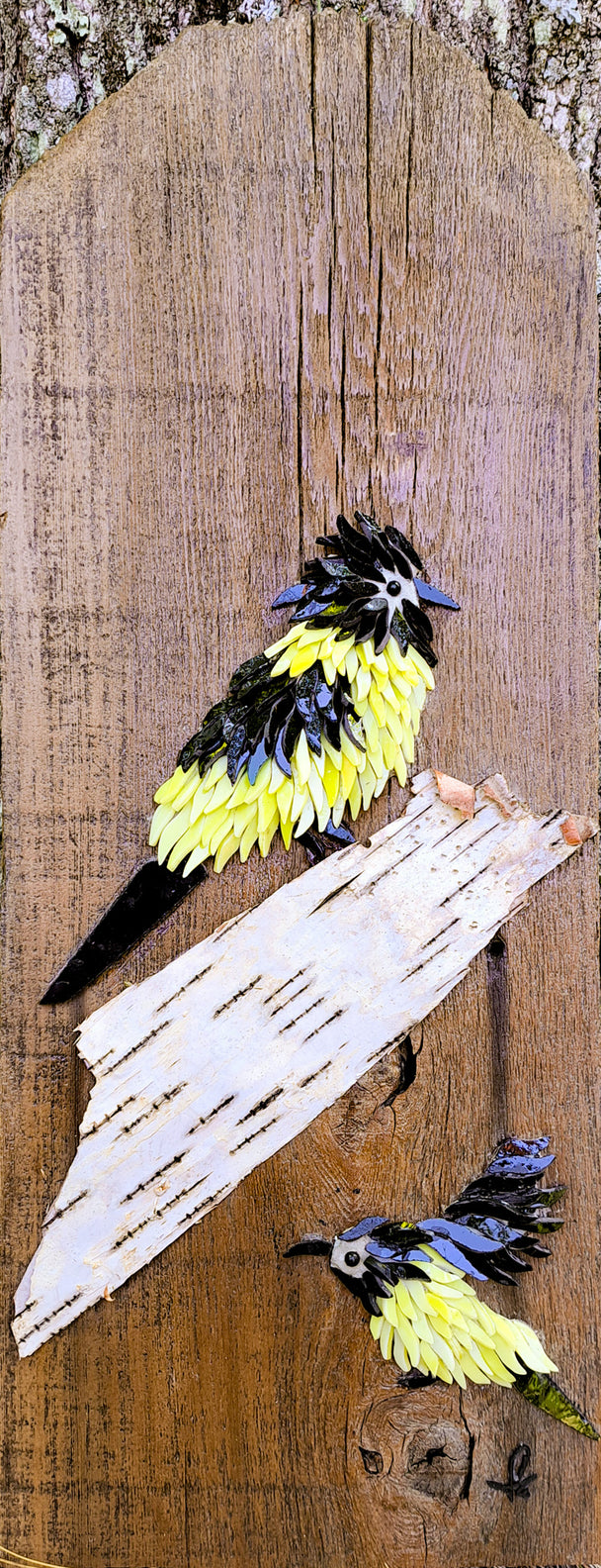 Orioles