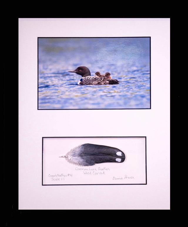 Water Taxi: Common Loon Photograph With Wood Carved Feather