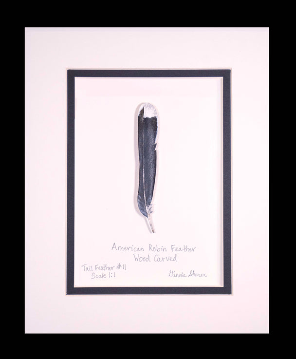 American Robin Tail Feather Wood Carving