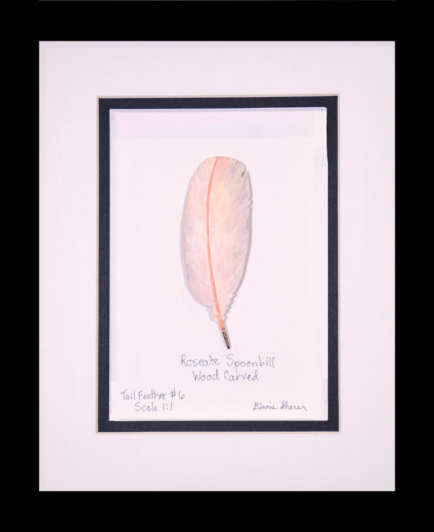 Roseate Spoonbill Tail Feather Wood Carving