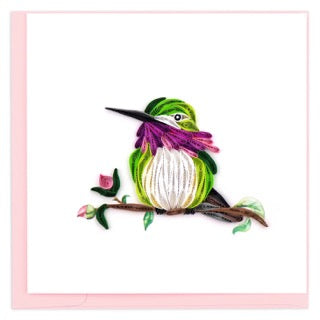 Calliope Hummingbird Card