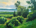 A View of the Lake