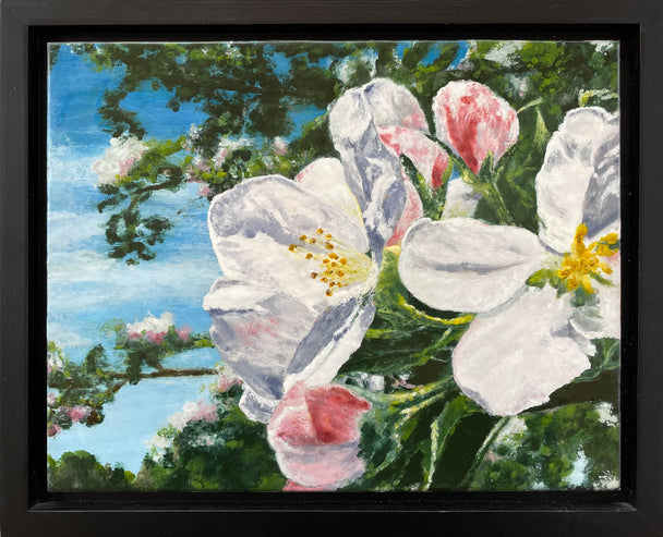 Apple Blossoms