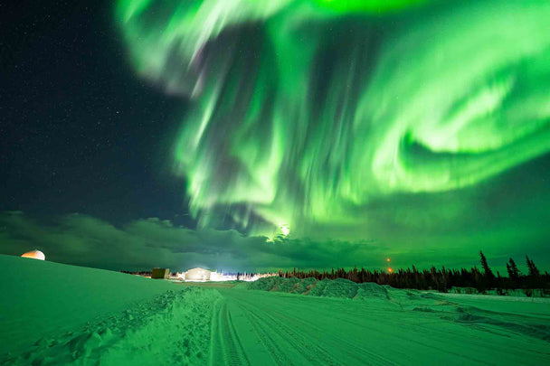 Cinnamon Roll Aurora