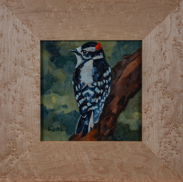 Downy Woodpecker
