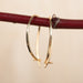 Locking Hook Earring