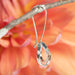 Wrapped and Twisted Dangle