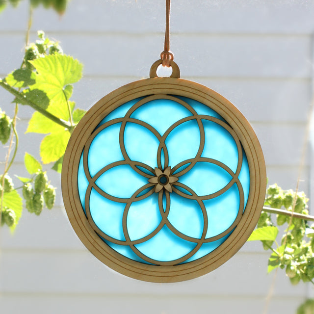 Interlocking Circles Suncatcher