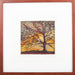 Storm Tree