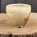 Green Star Mug, Kate Haward, stoneware, Plum Bottom Gallery