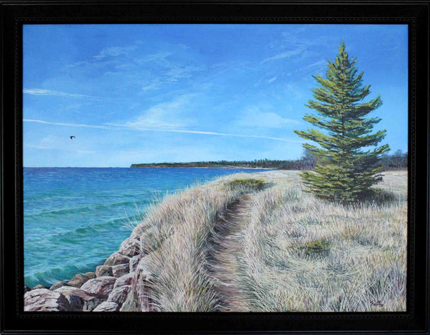 Lake Michigan Sheboygan