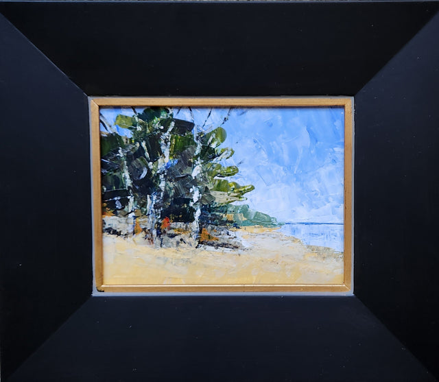 Lake Michigan Shoreline