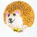 Sunny: Golden Hedgehog Ornament