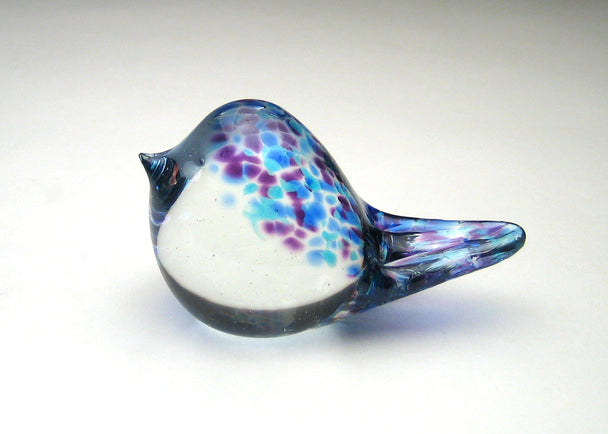 Half Spotted Spotted Littl Periwinkle CH