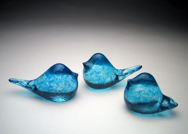 Solid Little Bird Sky Blue