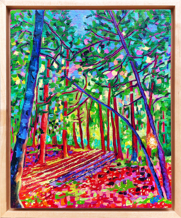 Framed oil painting, Forest with sunlight shadows