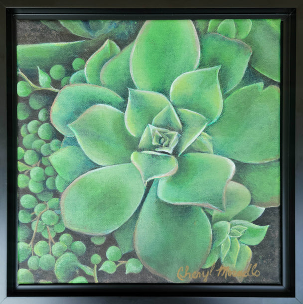 Succulent: Lush No. 1