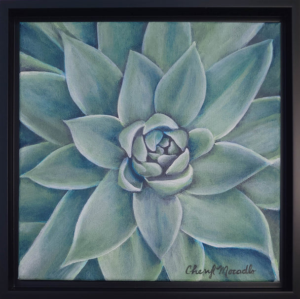 Succulent: Serenity