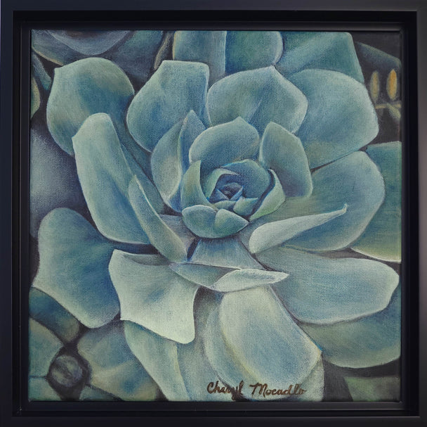 Succulent: Tranquility