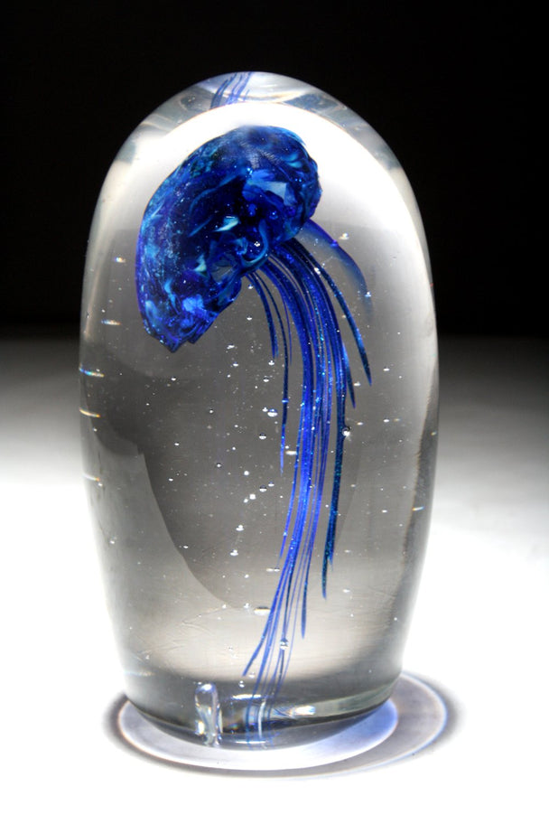 Mariana Glass Jelly Fish