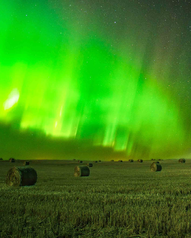 Prairie Lights