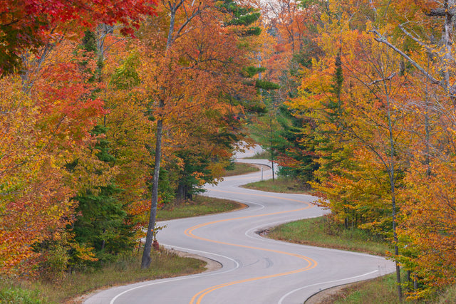 Road To Northport (Online Only)