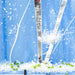 3 Winter Birches