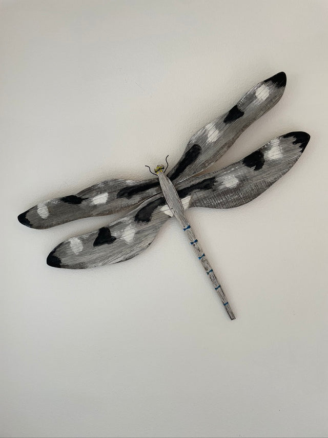 Ten Spot Dragonfly
