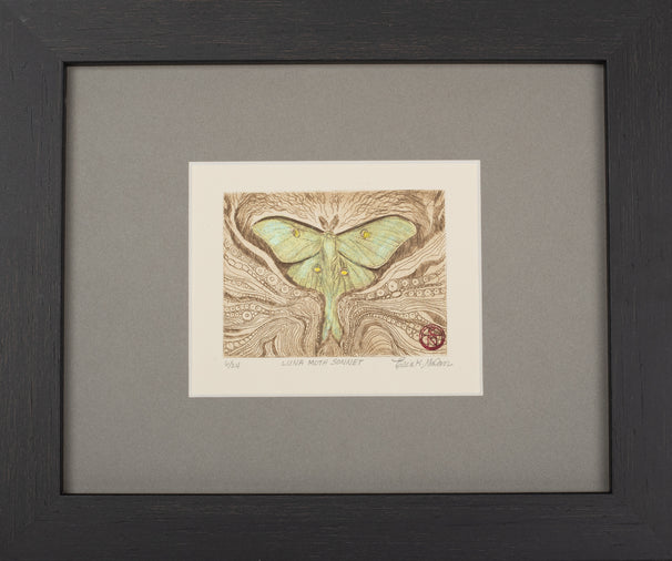 Luna Moth Sonnet, Erin Nolan