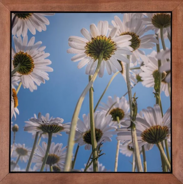 Tommy Nigbor Joins Plum Bottom Gallery: Wisconsin Fine Art Photography Rooted in Minimalism and Natural Beauty