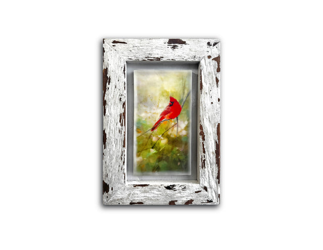 Scarlet Serenade