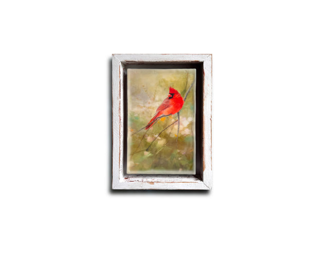 PRE-ORDER Scarlet Serenade