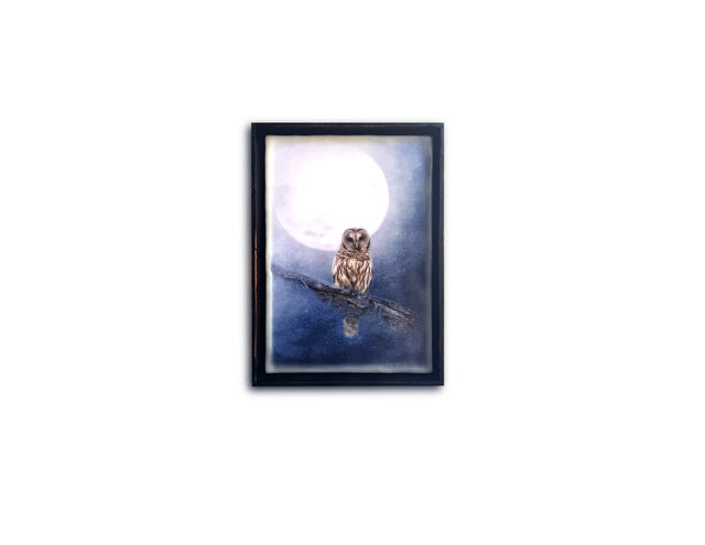 PRE-ORDER Midnight Guardian