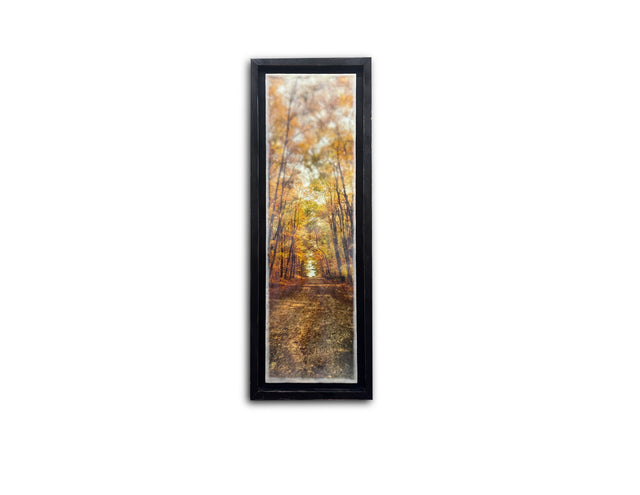Autumn Ambience