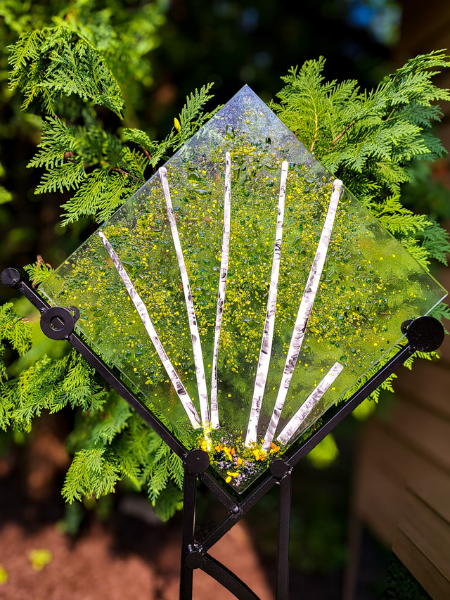 5 Birch Stems