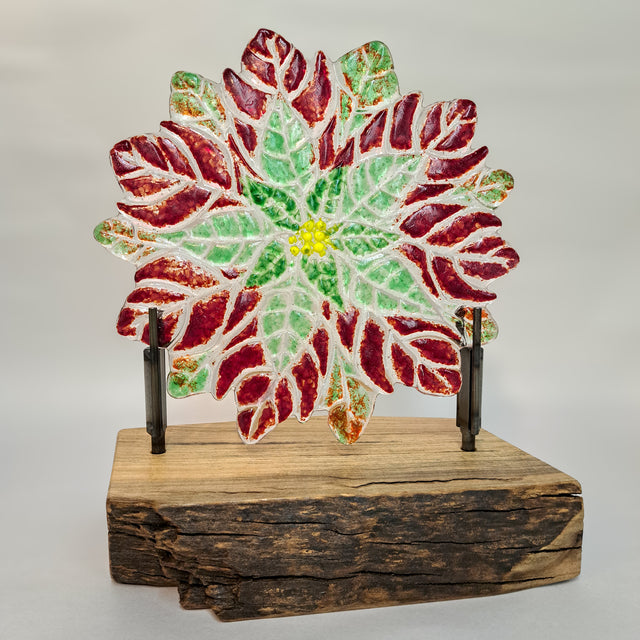 Poinsettia III