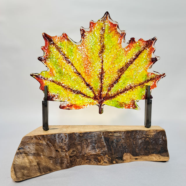 Autumn Leaf II