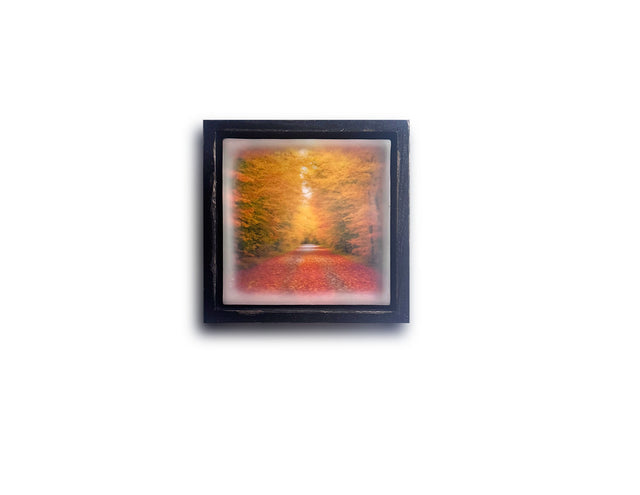 Autumn Dreams