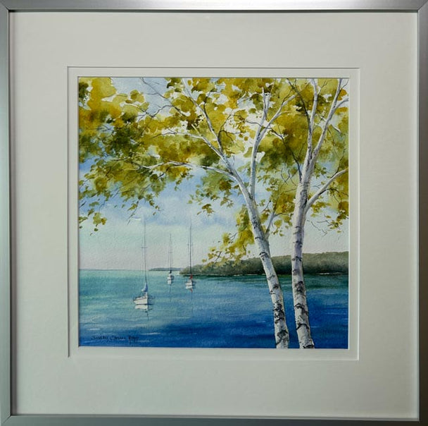 Bay View Birches