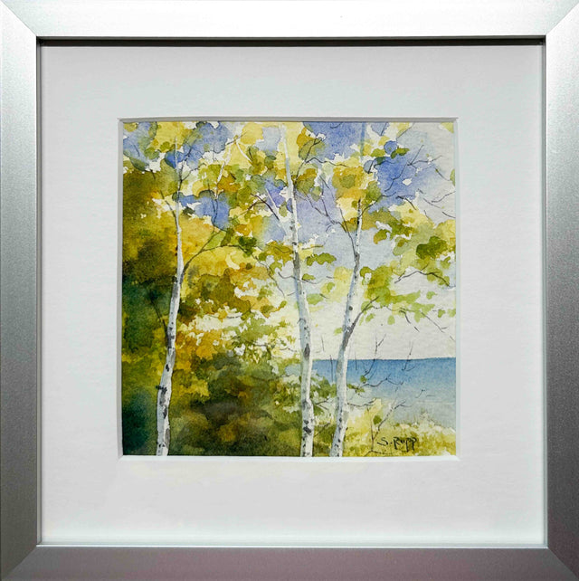 Birches #38