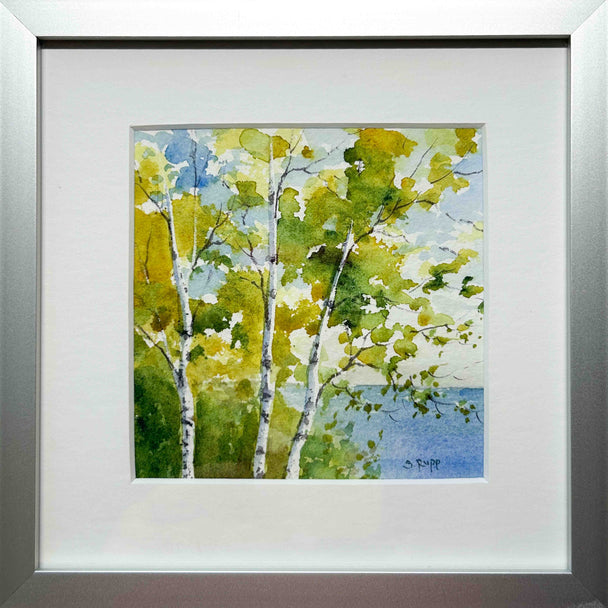 Birches #39