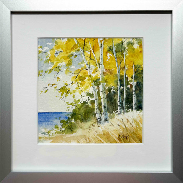 Birches #40