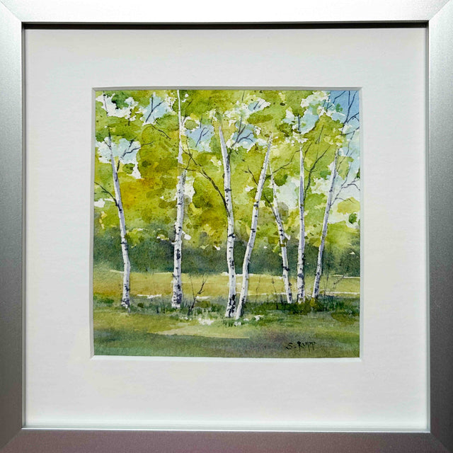 Birches #41
