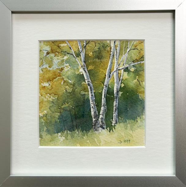 Birches #42