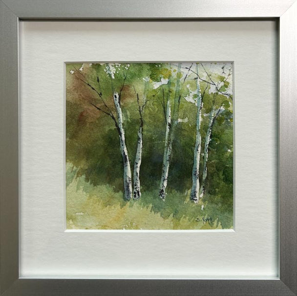 Birches #44
